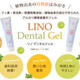 【Lino Dental Gel】 リノ デンタルジェル